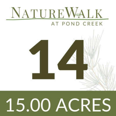 LOT 14 NATURE WALK RD, PACE, FL 32571, photo 4 of 17