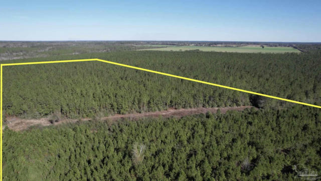 LOT 25-SW BASHI RD, PACE, FL 32571, photo 3 of 26