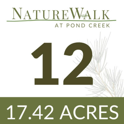 LOT 12 NATURE WALK RD, PACE, FL 32571, photo 4 of 34