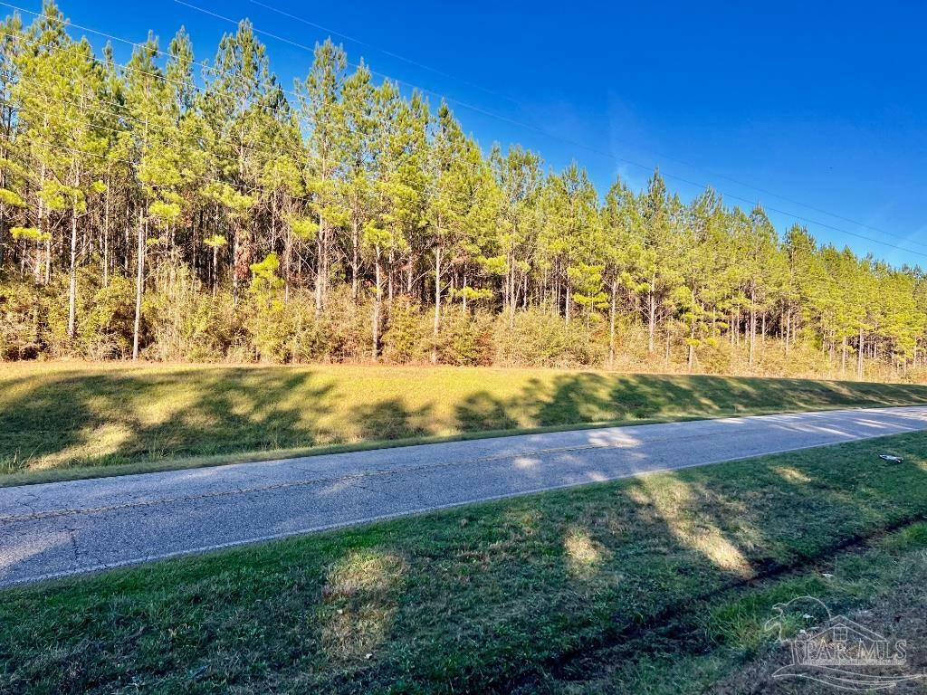 LOT 8-RS HWY 182, JAY, FL 32565, photo 1 of 17
