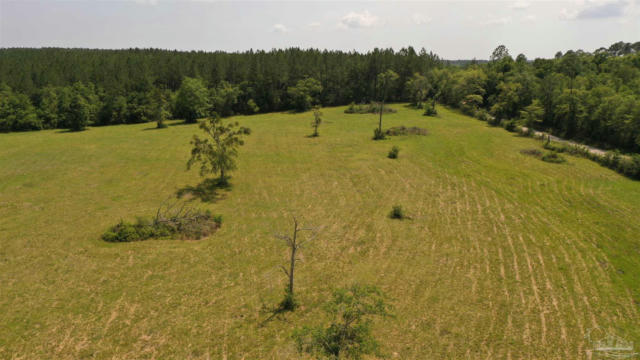 LOT 1 RIVER ANNEX RD, CANTONMENT, FL 32533, photo 2 of 20