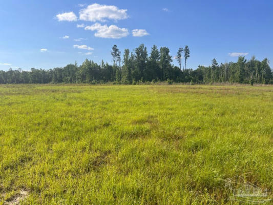 LOT 17-C COTTON LAKE RD, MOLINO, FL 32577, photo 2 of 12