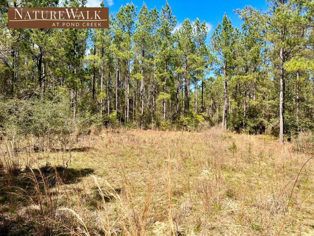 LOT 14 NATURE WALK RD, PACE, FL 32571, photo 1 of 17