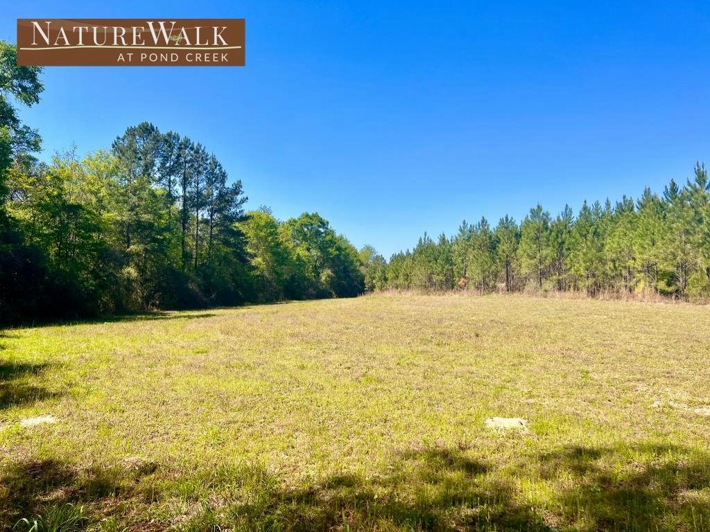 LOT 16 NATURE WALK RD, PACE, FL 32571, photo 1 of 18