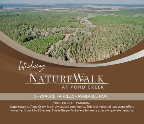 LOT 10 NATURE WALK RD, PACE, FL 32571, photo 3 of 22