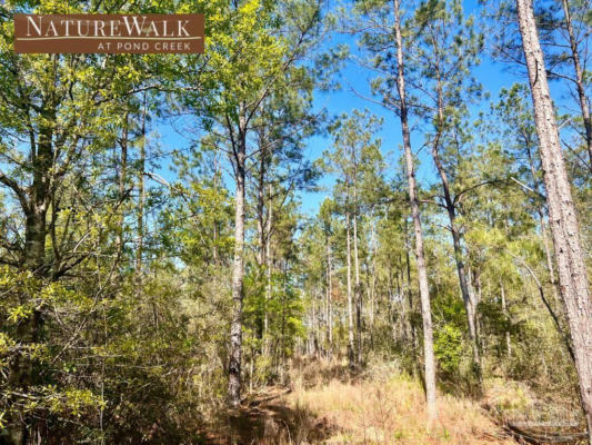 LOT 32 NATURE WALK RD, PACE, FL 32571, photo 2 of 25