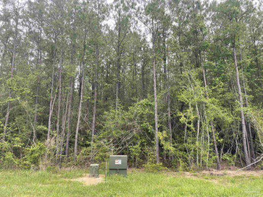 LOT 25 STEELE MEADOW DR, PACE, FL 32571, photo 3 of 5