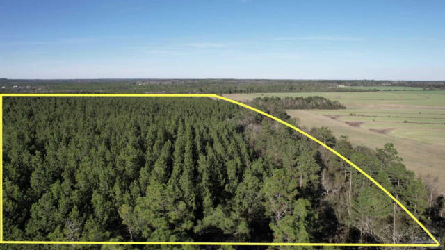 LOT 21-SW BASHI RD, PACE, FL 32571, photo 4 of 6