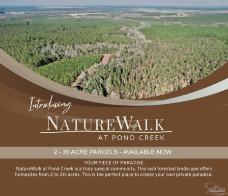 LOT 32 NATURE WALK RD, PACE, FL 32571, photo 4 of 25