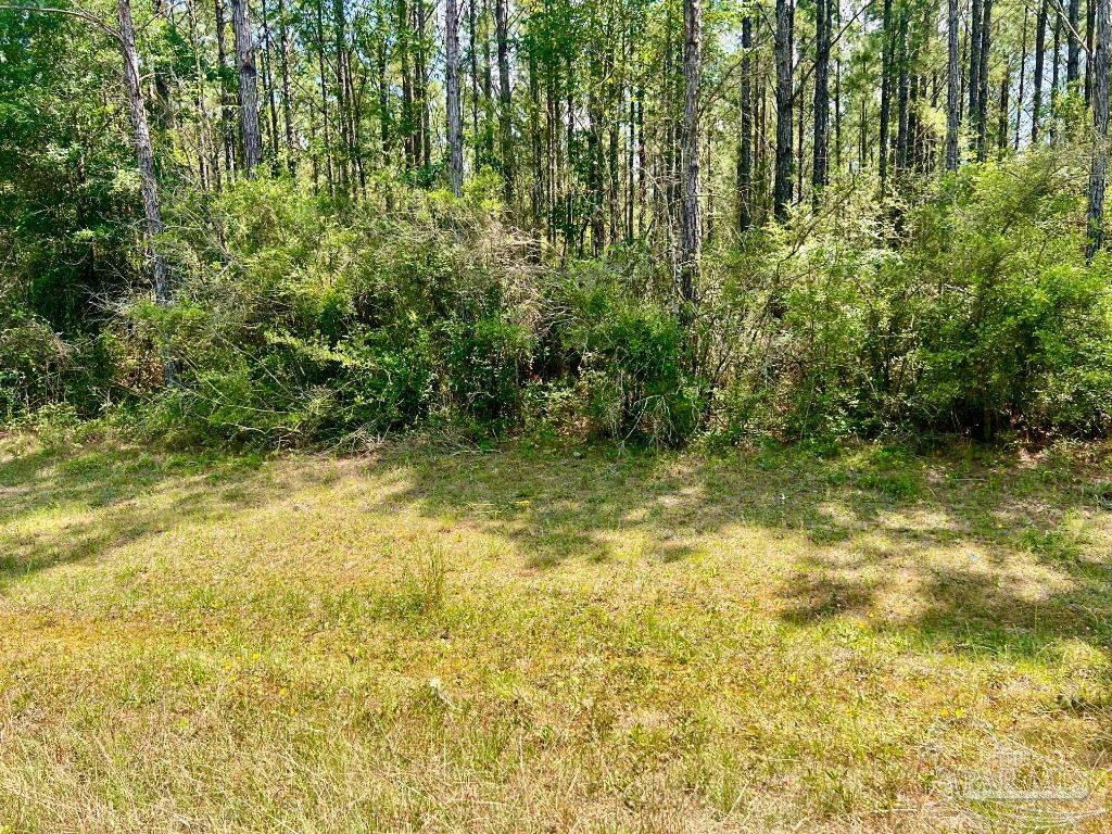 LOT 5-RS HWY 182, JAY, FL 32565, photo 1 of 22