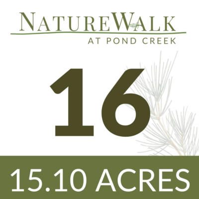 LOT 16 NATURE WALK RD, PACE, FL 32571, photo 4 of 18