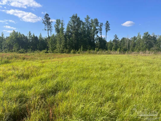 LOT 17-C COTTON LAKE RD, MOLINO, FL 32577, photo 3 of 12