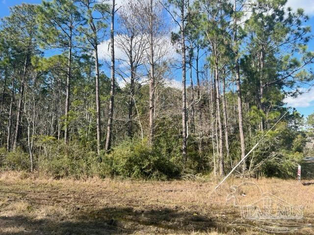 1B BUFFLER DR, MILTON, FL 32570, photo 1 of 2