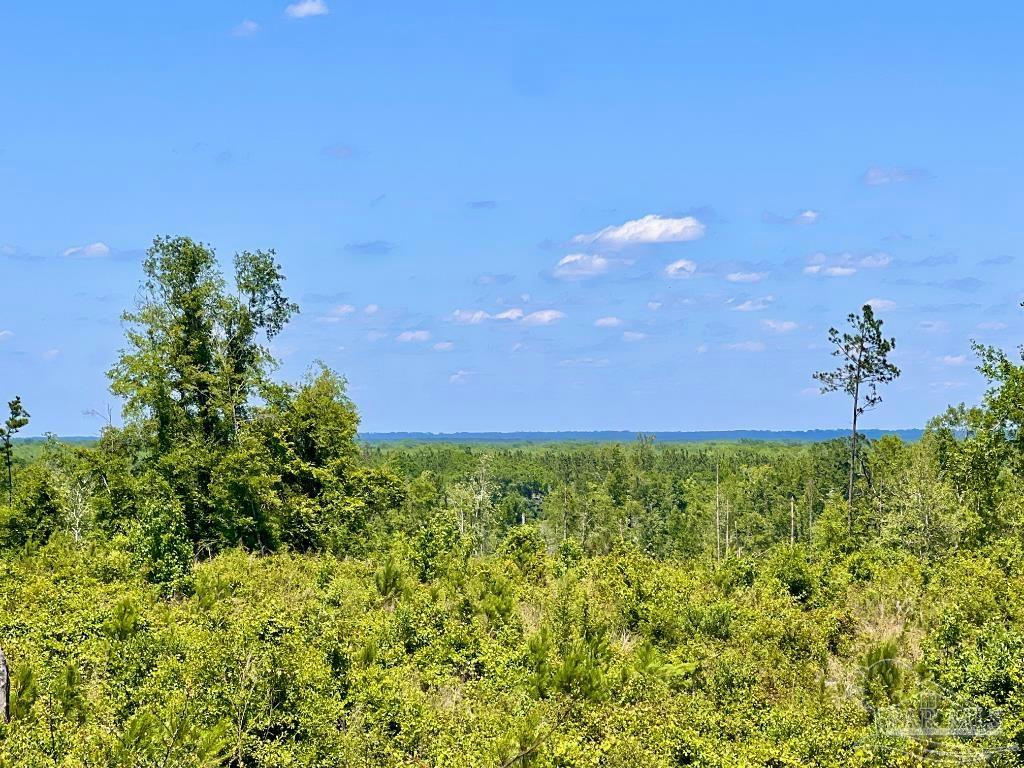 LOT 11-C COTTON LAKE RD, MOLINO, FL 32577, photo 1 of 11