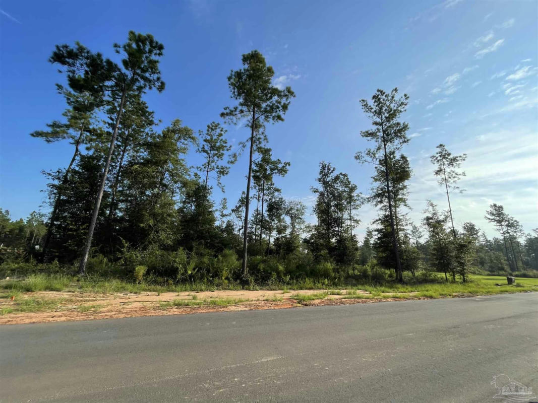 LOT 14 STEELE MEADOW DR, PACE, FL 32571, photo 1 of 9